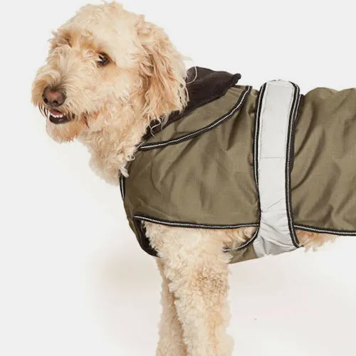 The Ultimate 2-in-1 Dog Coat