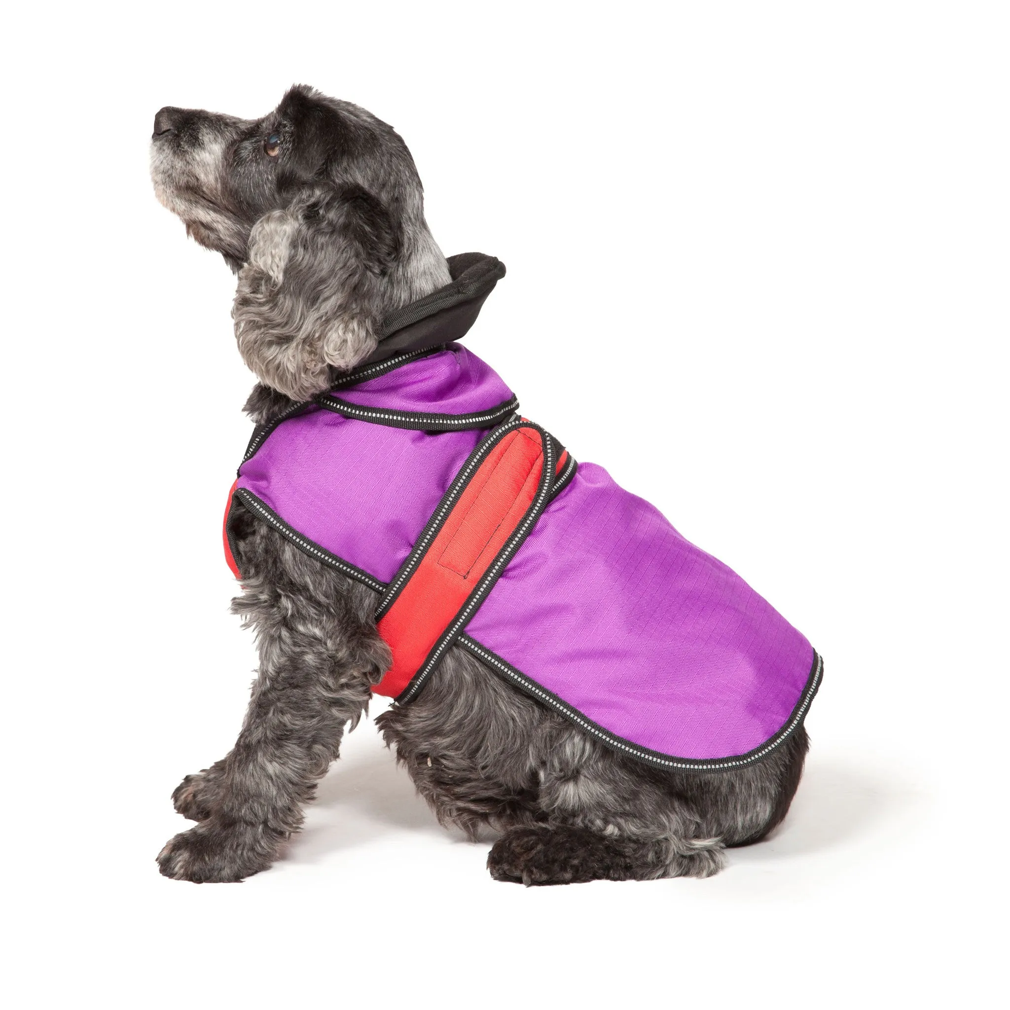 The Ultimate 2-in-1 Dog Coat