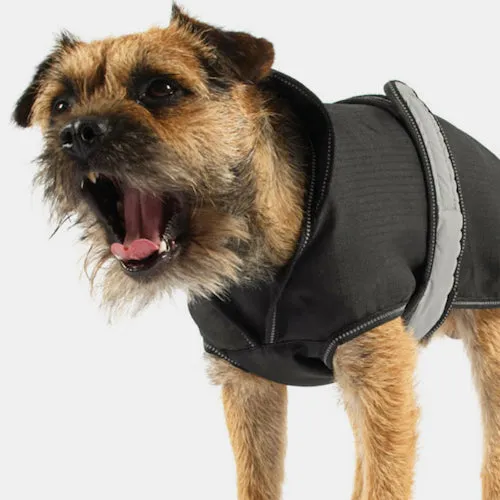 The Ultimate 2-in-1 Dog Coat